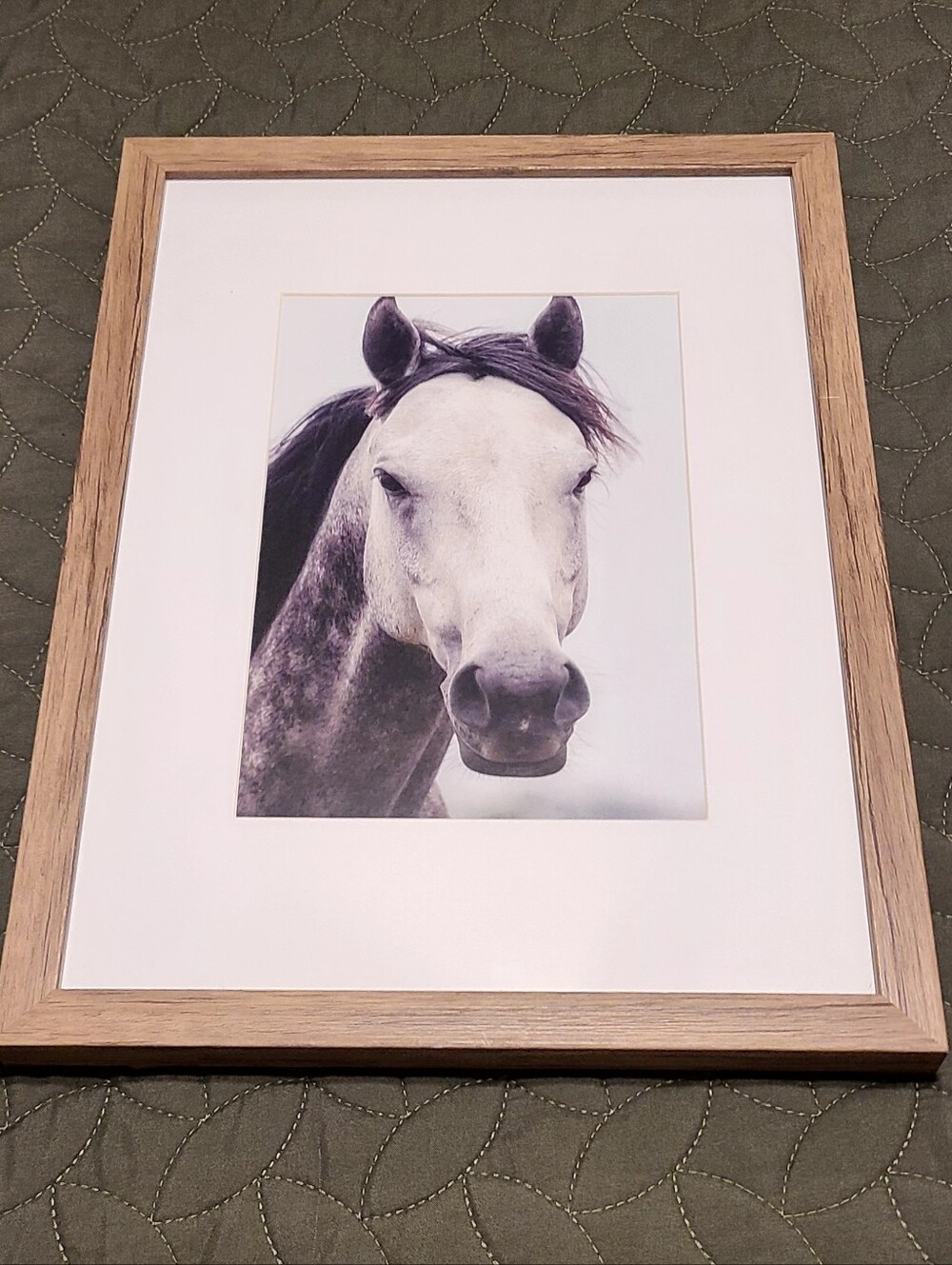 Kirkland Signature Neutral Horse Portrait Wall Art